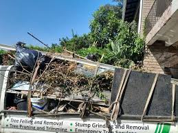 Best Carpet Removal and Disposal  in Joppatowne, MD
